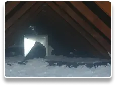 Batt insulation installation by Atlas Insulation crew